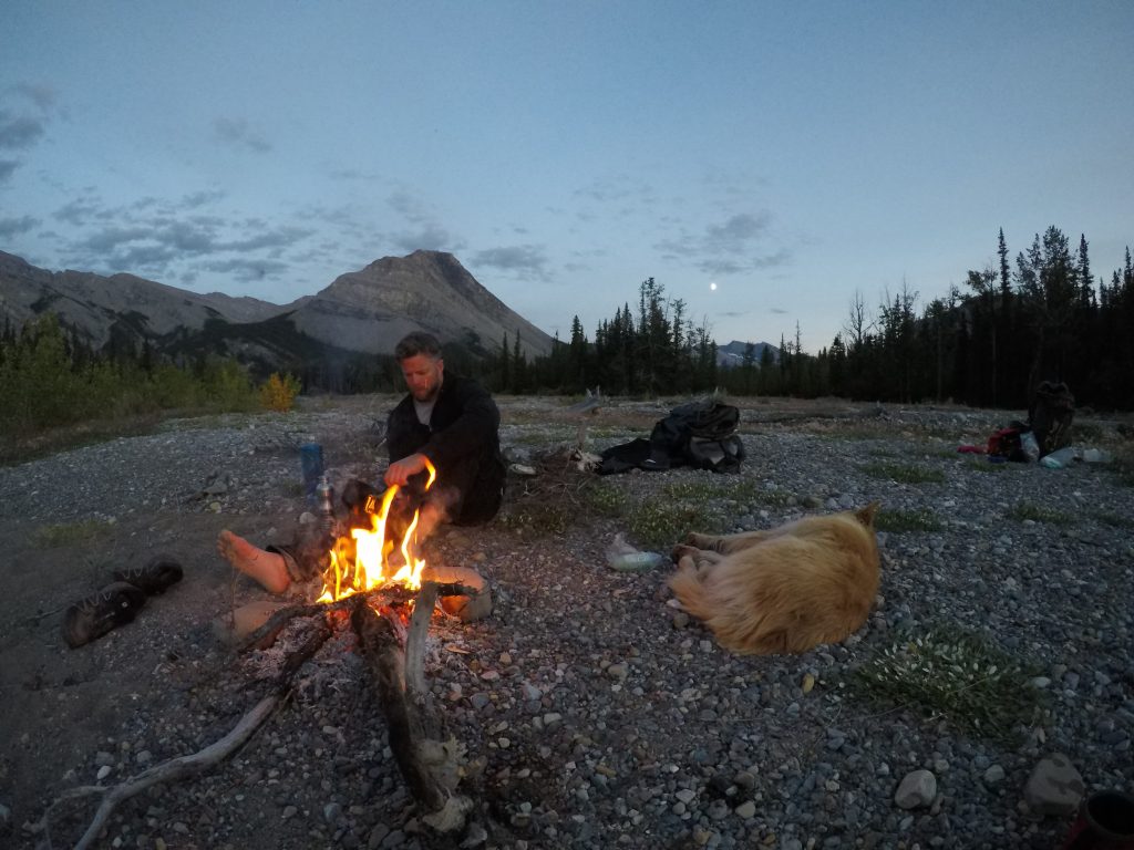 campfire, dog, mountains, full moon