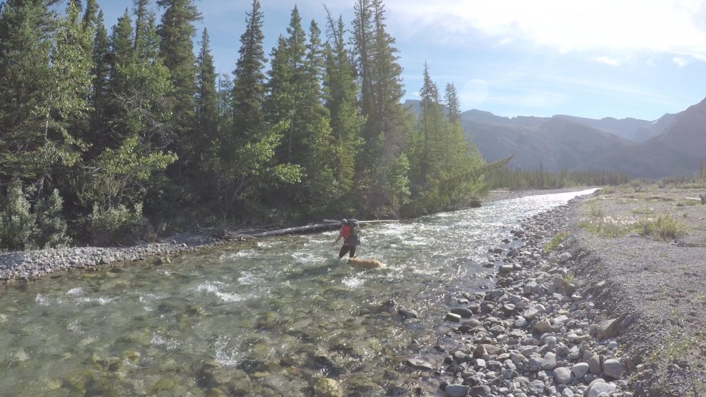 long trail hiking across a creek girl and dog