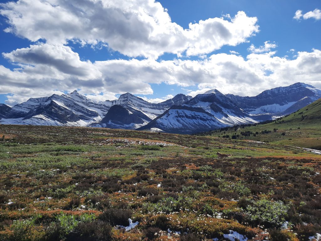 gorgeous mountain view