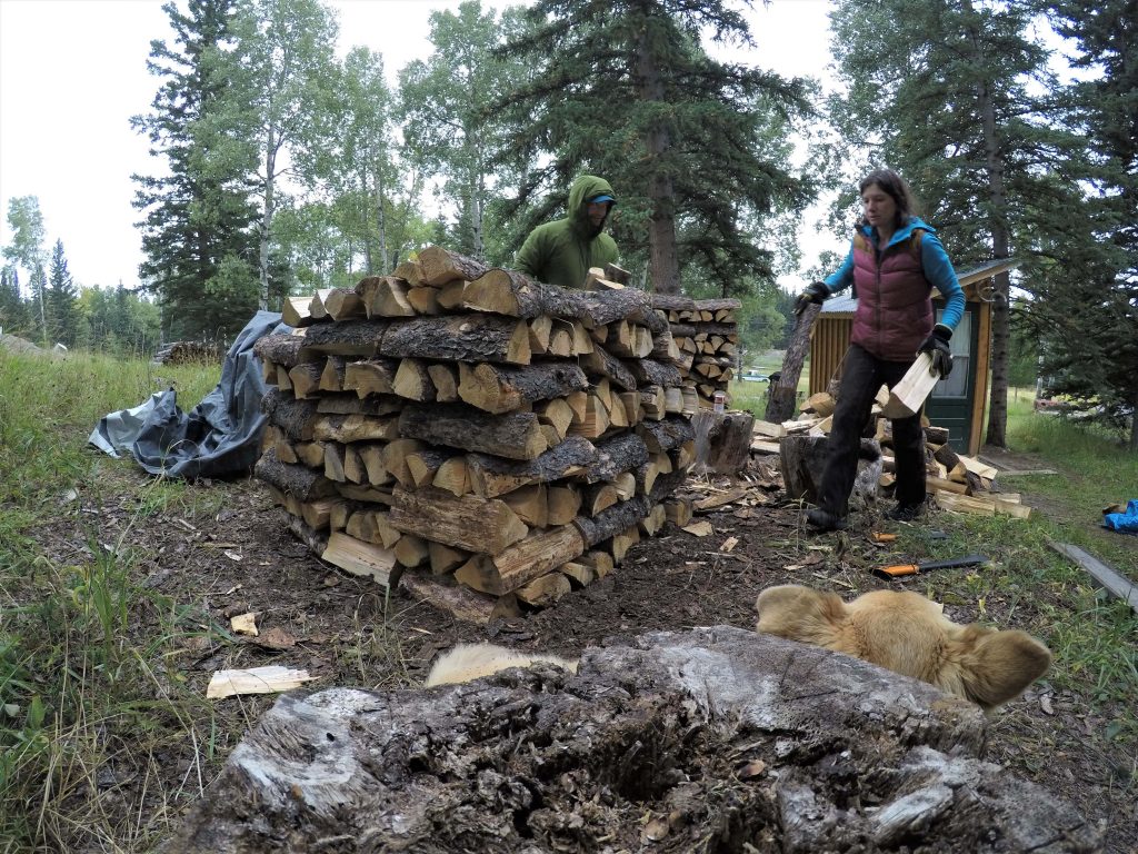 stacking wood