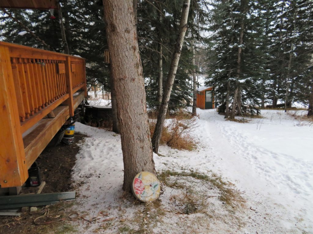 snow trail to outhouse