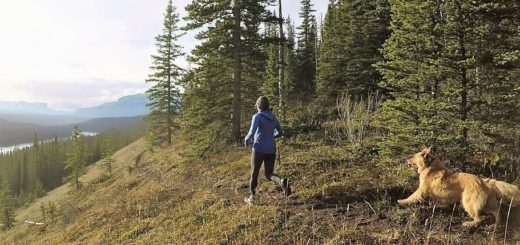 running with dog